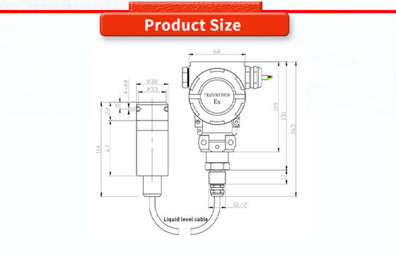 Customized Corrosion Resistant Level Sensor for Accurate Liquid Level Measurement